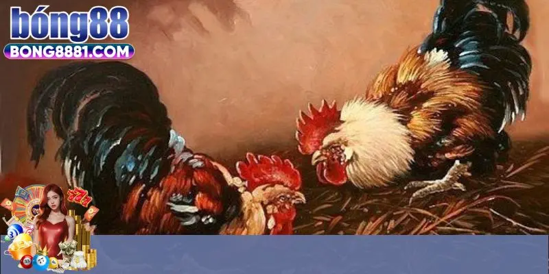 Hướng dẫn cách chơi đá gà Thomo hôm nay